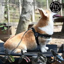 【TRE PONTI トレポンティ】フィッビア アジャスタブルタイプ メッシュカモ【4号】 犬 いぬ イヌ DOG 首輪 ハーネス リード リーシュ 国内正規輸入販売元