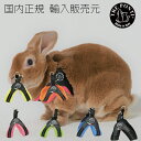 【TRE PONTI トレポンティ】フィッビア ソフトメッシュ【2号 2.5号】 犬 いぬ イヌ DOG 首輪 ハーネス リード リーシュ 国内正規輸入販売元