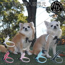 【TRE PONTI トレポンティ】フィッビア ポルカドットボウ【2号 2.5号】 犬 いぬ イヌ DOG 首輪 ハーネス リード リーシュ 国内正規輸入販売元