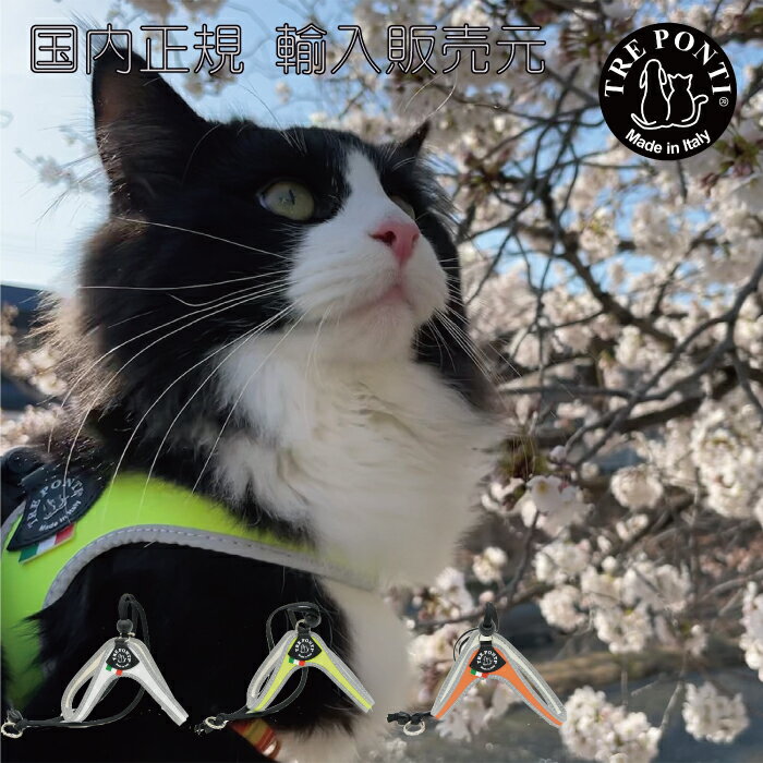 【TRE PONTI トレポンティ】リベルタ フルオ【2号 2.5号】 犬 いぬ イヌ DOG 首輪 ハーネス リード リ..