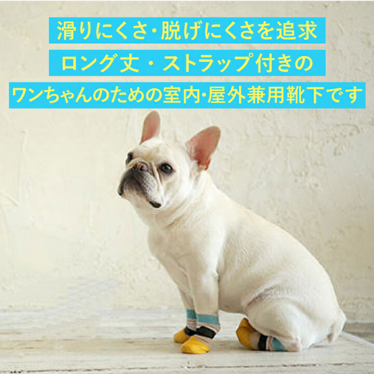 PETs ADVANCEの【新発売】犬 靴下 マジックテープ 滑り止め 脱げない 老犬 犬用靴下 面ファスナー 足舐め防止 肉球保護 履かせやすい 防寒 介護 シニア犬 洗える 小型犬 中型犬 2個入 [PAKS-PL]｜アングル2