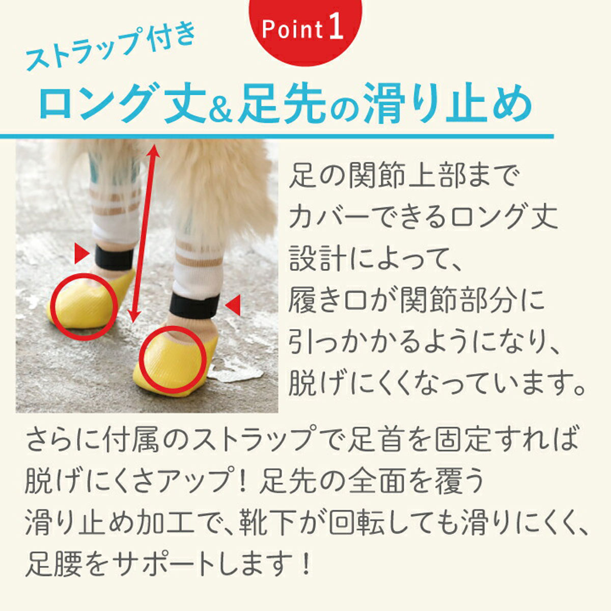 PETs ADVANCEの【新発売】犬 靴下 マジックテープ 滑り止め 脱げない 老犬 犬用靴下 面ファスナー 足舐め防止 肉球保護 履かせやすい 防寒 介護 シニア犬 洗える 小型犬 中型犬 2個入 [PAKS-PL]｜アングル3