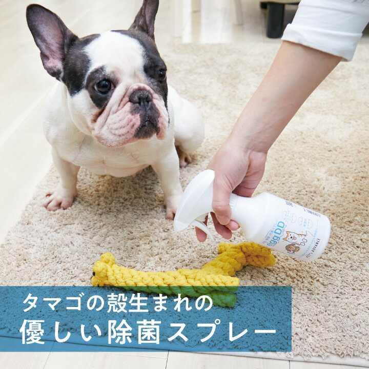 �ý����ץ졼 �� ���å��ǥ����ǥ��� �ý� ���� ���� ���ץ졼 �ڥå������� 100��ŷ����ʬ �Υ󥱥ߥ��� ���ǥե꡼ ���륳����ե꡼ ̵���� ̵�� �ڥåȽ� �����ä��� �к� ���� ���ݹ��� [eggDD] [PAJKS-300]