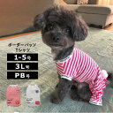 犬 服 犬の服 ボーダー柄 ドッグウェア 可愛い 着せやすい ブルー ピンク 小型犬 中型犬 夏 夏用 春 春用 dog wear ペットアドバンス [NPW81101]