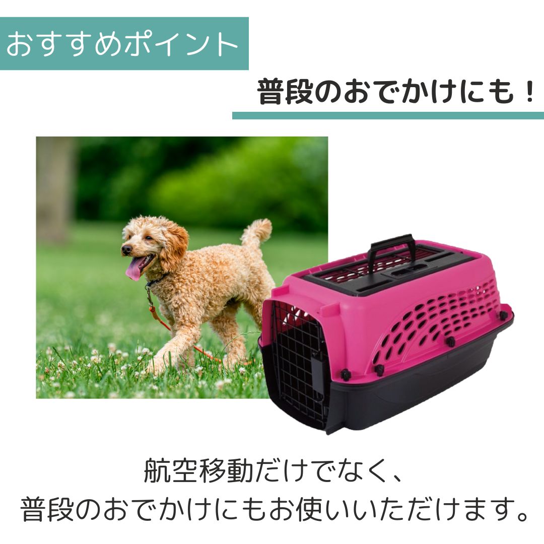 ����̵�� �ڥåȥᥤ�� 2�ɥ��Хꥱ��ͥ� XS �ۥåȥԥ�/�֥�å� �ڥå��� ���� �Хꥱ�� Petmate