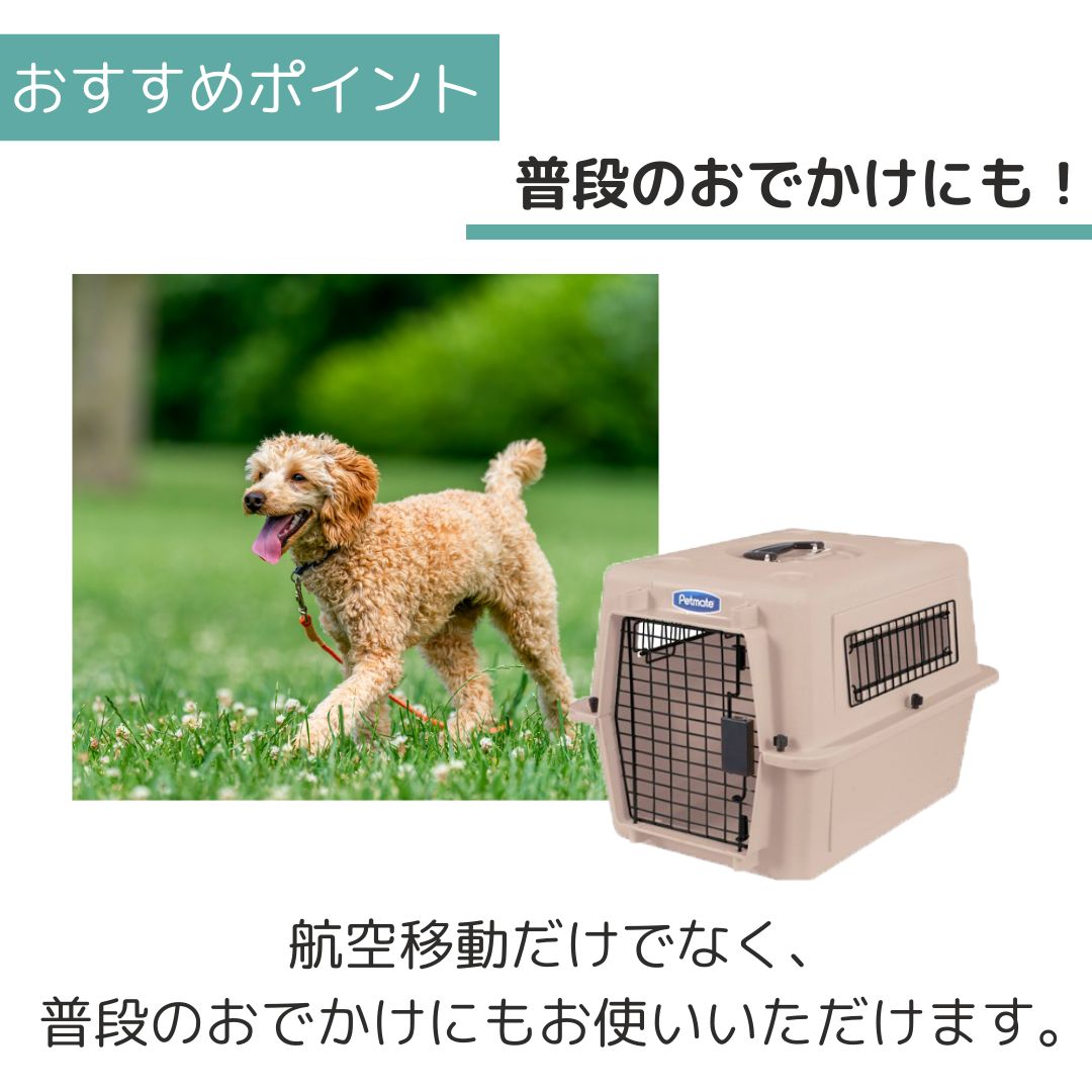 ����̵�� �ڥåȥᥤ�� ����ȥ�Хꥱ��ͥ� S �ȡ��� �ڥå��� ���� �Хꥱ�� Petmate