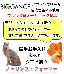 DMSコミュニケーションの【送料無料】BIOGANCE バイオガンス ノーリンス・フォーマー200ml 猫用 ドライシャンプー ペット用品 トリミング用品 コンパクト｜アングル2