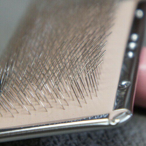 ���оݾ���2���ʾ��10%OFF�����ݥ��Deep Stab ����å����֥饷 �ץ� (M) �ɥ꡼�໺�� �ڥå��� ���� �ȥ�ߥ����� ���롼�ߥ� ¨��ȯ�� ����ѥ���