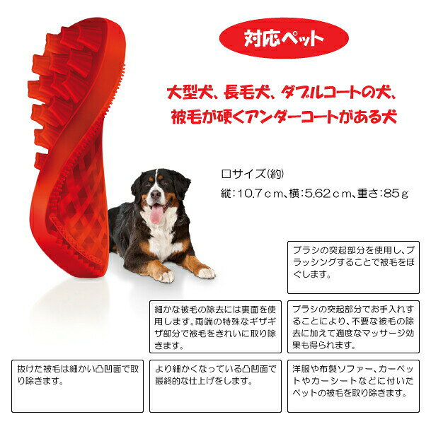 サンプル画像2