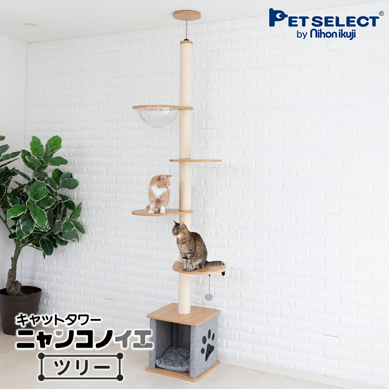 キャットタワー ニャンコノイエ (ツリー)本体 突っ張り 木製 猫 タワー 高さ 240〜255cmまで つっぱり式 宇宙船 交換可能 爪とぎ 肉球 運動不足 小型 多頭飼い 子猫 グレー 安定 低ホルム 商品画像2