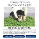 [ワンにゃんDAYクーポン ※要事前取得]犬用 おもちゃ グリーンプレイマット 布製 ペットおもちゃ 知育玩具 知育トイ おやつ 探しトレーニング ノーズワーク おうち時間 訓練 しつけ ストレス解消 運動不足 認知症 予防 早食い防止 室内 遊び 犬用品 犬 猫 2