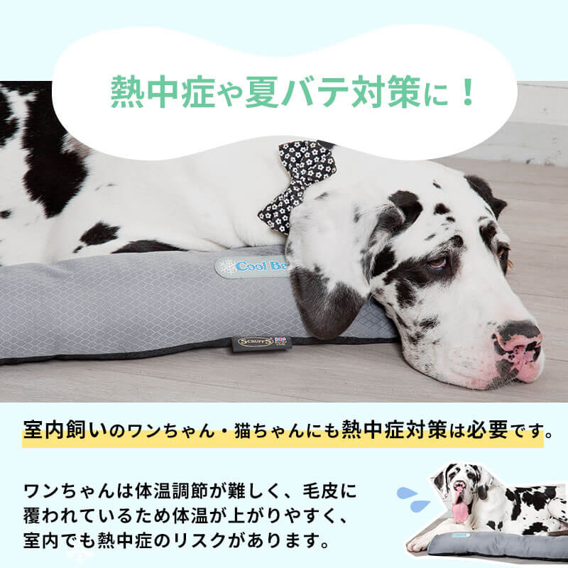 ■［19%OFF SALE］クール ベッド L ペット ベッド 冷却 ジェル ひんやり ブランド 犬 犬用 おしゃれ 洗える 洗濯 春 夏 猫 ペット用 カドラー マット クッション 通気性 ゆったり クールマット冷感マット 熱中症対策 scruffs