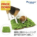 【LINE登録で350円クーポン！】PLATZ バナナドッグ イエロー【 プラッツ 犬 小型犬 おもちゃ パピー 】