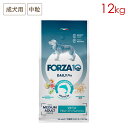 FORZA10 デイリープロ アダルト ミディアム フィッシュ 12kg (中粒) 成犬用 (お取り寄せ/5営業日以内に発送)