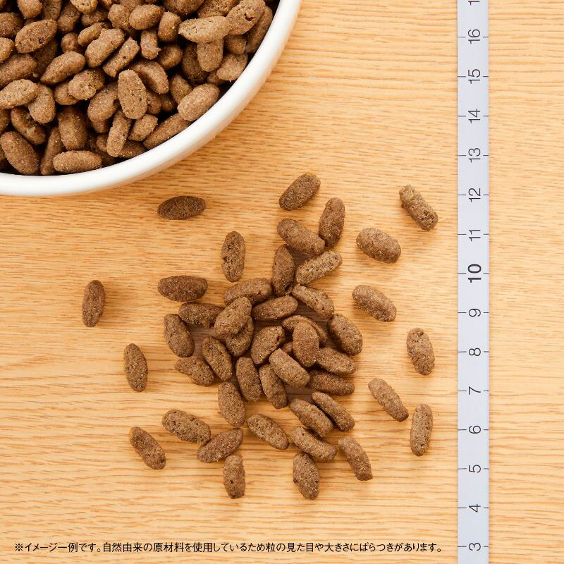 サンプル画像2