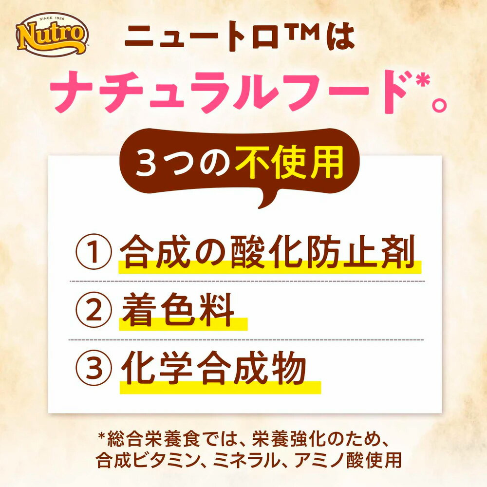 サンプル画像3