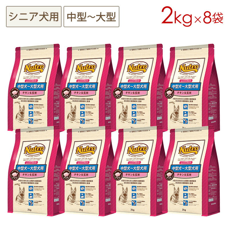 (8ޥå) ˥塼ȥ ʥ祤 ץߥ 淿緿 󥰥(˥)  [2kg8...