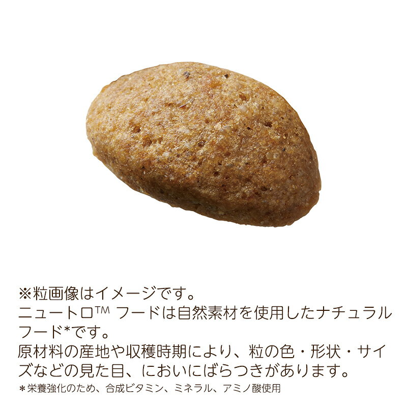(4袋セット) ニュートロ シュプレモ 全犬種...の紹介画像3