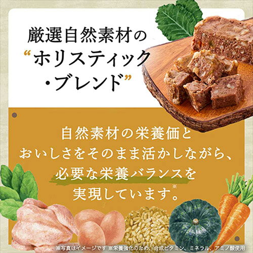 【メール便】ニュートロ シュプレモ トレイ ターキー 成犬用 全犬種用 100g ×8個セット 総合栄養食 チーズ&野菜 トッピング入り