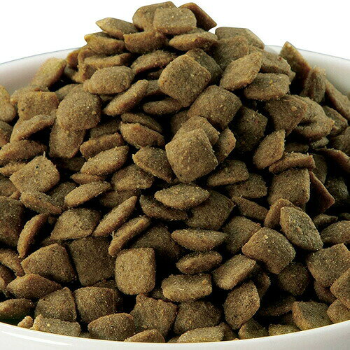 イースター　プロステージ ルシャット 皮膚・被毛の健康に配慮 1.2kg　成猫用・シニア猫用 合成着色料・合成保存料不使用 キャットフード petsmum-10047989 ペッツマム サンプル画像2