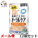 ★【メール便】【今月のお買い得商品】アイシア 健康缶 パウチ オーラルケア まぐろ ペースト 40g×12個セット 送料無料