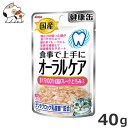 ★【今月のお買い得商品】アイシア 健康缶パウチオーラルケアまぐろフレークとろみタイプ 40g