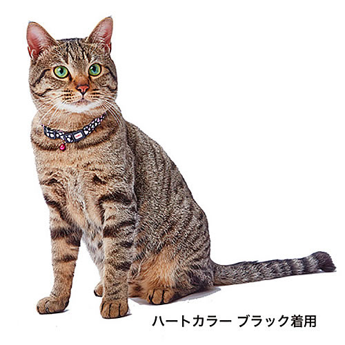 【メール便】ペティオ CAT COLLAR ハートカラー ブラック/イエロー 送料無料 2