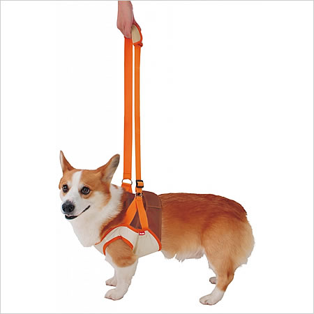 ペティオ 老犬介護用 歩行補助ハーネス 前足用K L 2