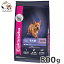 桼̥(Eukanuba) ⡼ѥԡ 800g Ҹ  淿 12ޤ