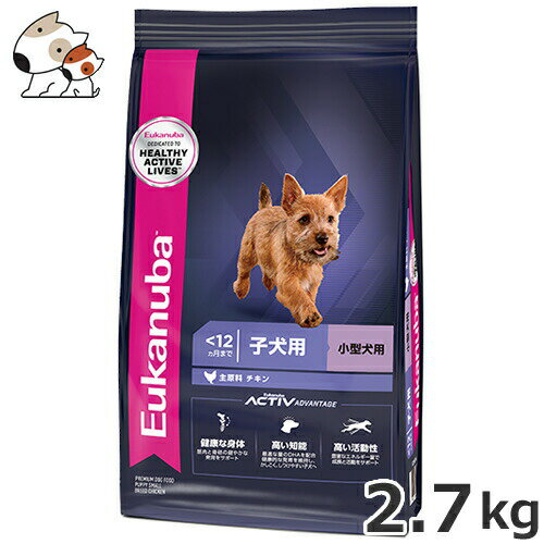 [Jko(Eukanuba) X[ps[ 2.7kg qp ^p ^p 12܂