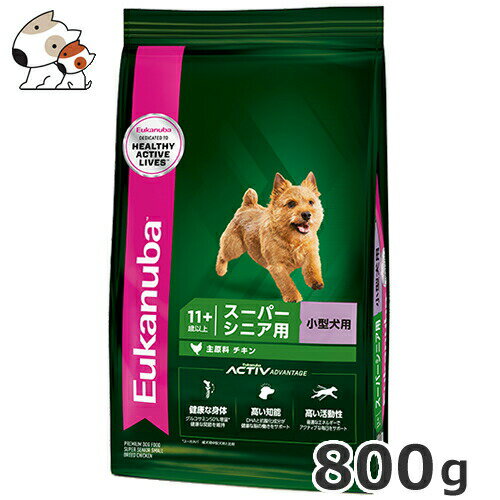 [Jko(Eukanuba) X[X[p[VjA 800g p ^p 11Έȏ