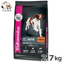 [Jko(Eukanuba) ~fBAA_g 2.7kg p ^p 1Έȏ