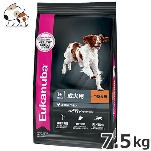 [Jko(Eukanuba) ~fBAA_g 7.5kg p ^p 1Έȏ