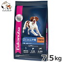 ユーカヌバ(Eukanuba) ミディアムシニア 7.5kg 高齢犬用 中型犬用 7歳以上