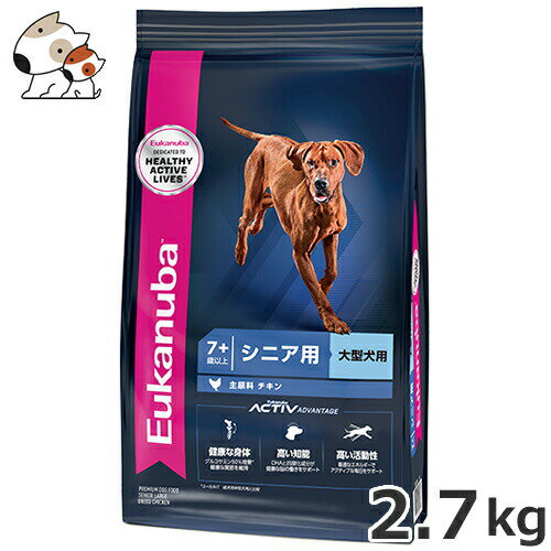 [Jko(Eukanuba) [WVjA 2.7kg p ^p 7Έȏ