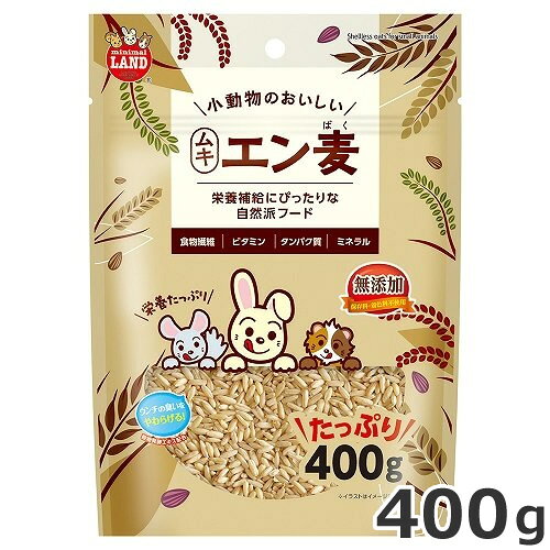 容量400g商品サイズ(mm)幅150×奥行60×高さ210対象動物うさぎ・ハムスター・モルモットなどの小動物品番ML-540・保存料・着色料無添加の自然派フードです・食物繊維・ビタミン・タンパク質・ミネラルがバランス良く含まれております・穀物発酵エキスが腸内の善玉菌を増やし、便臭を軽減します
