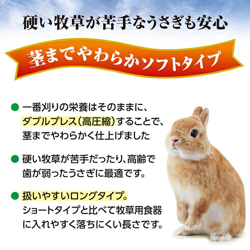 ジェックス GEX おいしいチモシー ソフト 450g 健康主食牧草 仔うさぎ シニアうさぎ