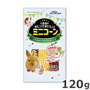 ドギーマンハヤシ ミニアニマン 小動物のかじっておいしいミニコーン 120g(4)
