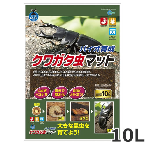 原材料クヌギ・コナラ内容量10L対象クワガタムシ原産国日本使用方法●ご使用の際は本品に水分を含ませてから使用します。手で軽く握ってできた団子に触れると崩れるくらいが最適です。握ると水が染み出るようでは水分が多すぎです。ご注意※本品は昆虫飼育用品です。他の用途には使用しないでください。・クワガタムシの成虫・幼虫の飼育に適したマットです。・成虫の大きさは幼虫をいかに大きく育てるかで決まります。・くぬぎ＋コナラ原料の配合マットです。・菌糸で腐木化された原料を使用しているため、幼虫が大きく育ちます。