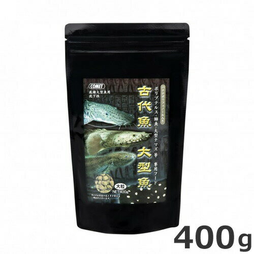 イトスイ コメット 古代魚 大型魚専用フード(大粒) 400g ポリプテルス 肺魚 大型ナマズ等 エサ