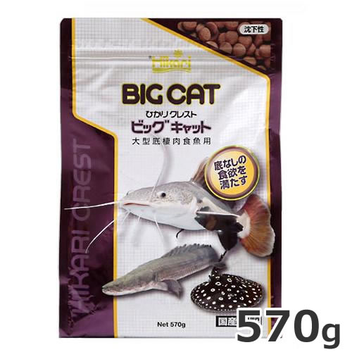 キョーリン ひかりクレスト ビッグキャット 570g 沈下性 大型底棲肉食魚用 大型魚 エサ 国産