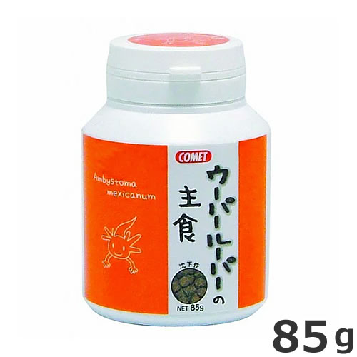 ȥ å ѡ롼ѡμ翩 85g γ  ξ ա