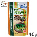 キョーリン ひかりベルツノ 40g(4)