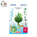 ニッソー 浮かべる癒し苔玉 貳
