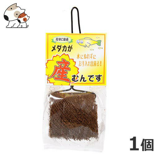 ●ソネケミファ 産むんです