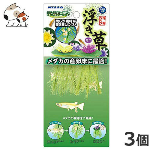 原材料PE、EVA、綿原産国中国使用上のご注意ご使用の前に必ず水洗いして下さい。お手入れの際には、布やスポンジなどで軽く水洗いをして下さい。一種類だけでなく、他のシリーズと組み合わせるとさらにボリューム感のあるレイアウトを楽しむことが出来ます。サイズ直径3×長さ7cm・水草部分の柔らか素材が卵を離しにくく、卵を傷つけず簡単に取り出すことが出来ます。・水槽に入れるだけで手軽に水草レイアウトを楽しむことが出来ます。・本物の水草の様に伸びすぎたり枯れたりすることが無いので、面倒な手入れは不要です。