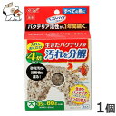 GEX ベストバイオブロック大ハーフリング 1個