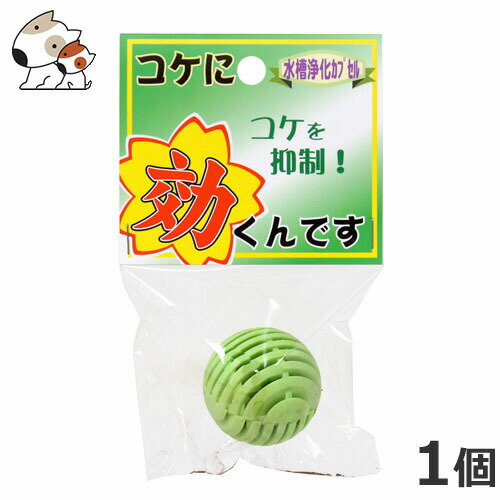 ソネケミファ 効くんです コケ