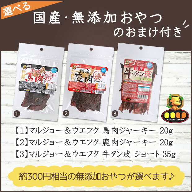 【選べる無添加おやつプレゼント】ライトハウス ソルビダ(SOLVIDA) グレインフリー...
