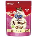 ★【今月のお買い得商品】ユニチャーム 銀のスプーン おいしい顔が見られるおやつ カリカリッチ たい味 60g 成猫(1歳~) ドライタイプ